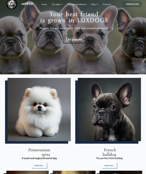 luxdogs